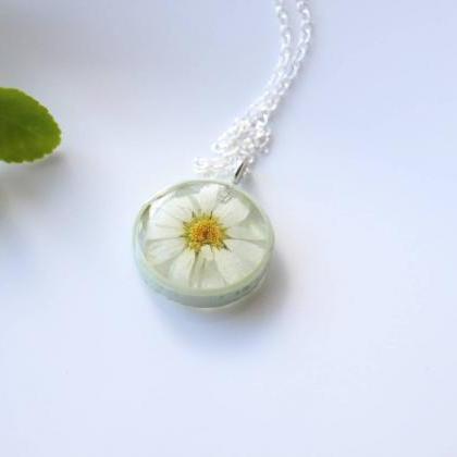 Real Daisy Necklace / Preserved Flower Jewelry /..