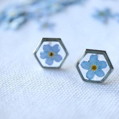 Blue Forget Me Not Studs-Hexagon / ..