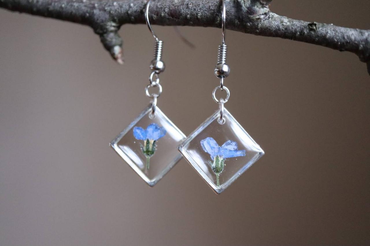 Forget Me Not Dangle Earrings / Dainty Gifts For Her / Pressed Flower Jewelry